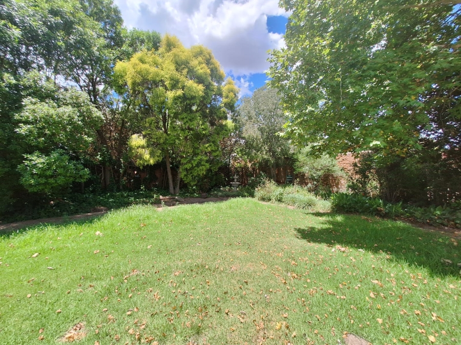 To Let 3 Bedroom Property for Rent in Top Town Eastern Cape